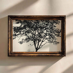 Modern Organic Wall Art - Minimalist Black Tree Silhouette Nature-Inspired Decor by Avr Pixel - Avr Pixel