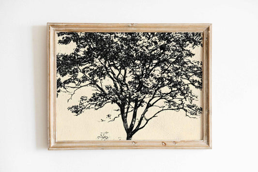 Modern Organic Wall Art - Minimalist Black Tree Silhouette Nature-Inspired Decor by Avr Pixel - Avr Pixel