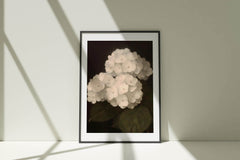 Modern Organice Wall Art | Hydrangea - Minimalist Floral Decor for Home Office _ Avr pixel - Avr Pixel