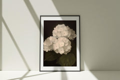 Hydrangea Wall Art Print: Dark Tone Minimalist Botanical Decor (Digital Download